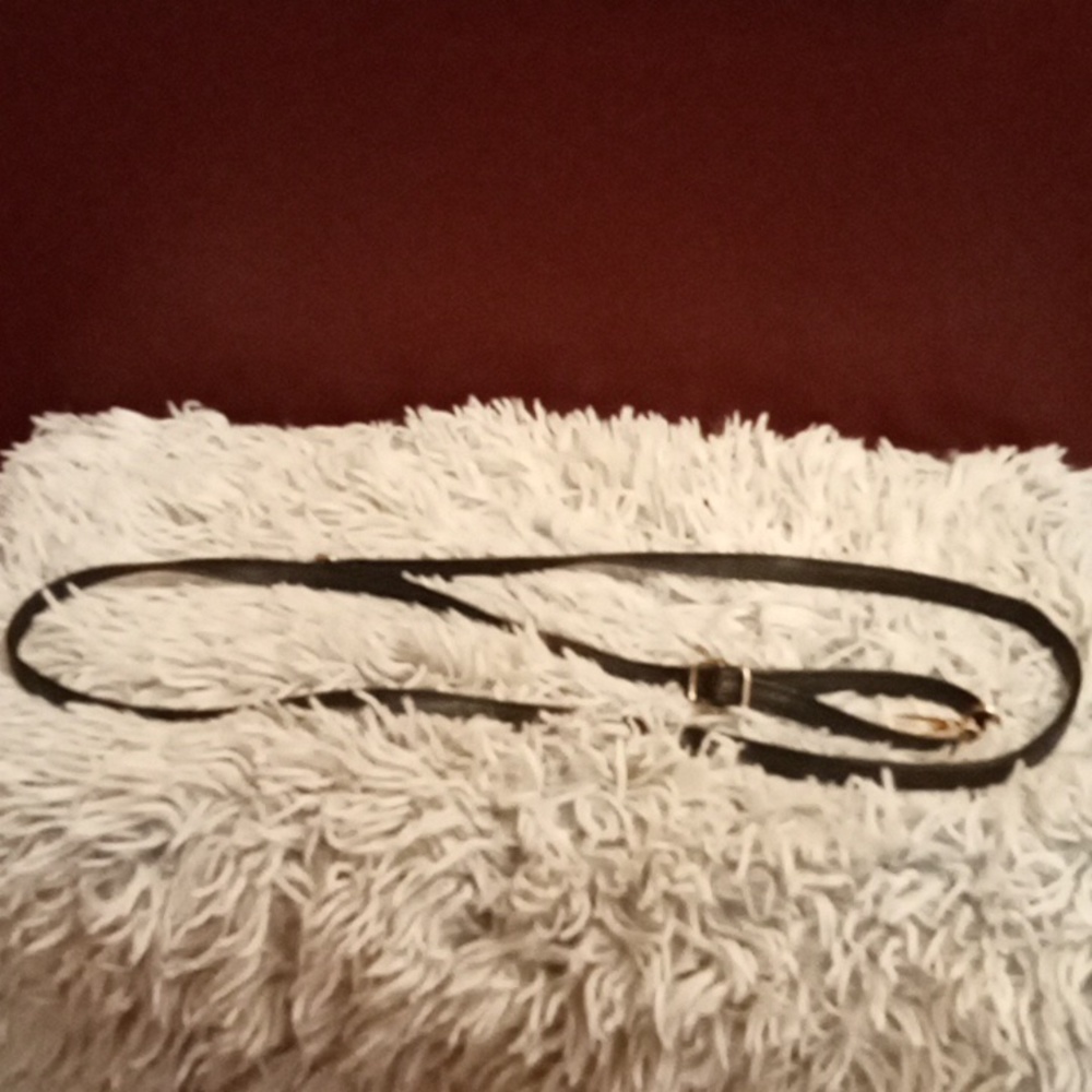 Women's purse extension